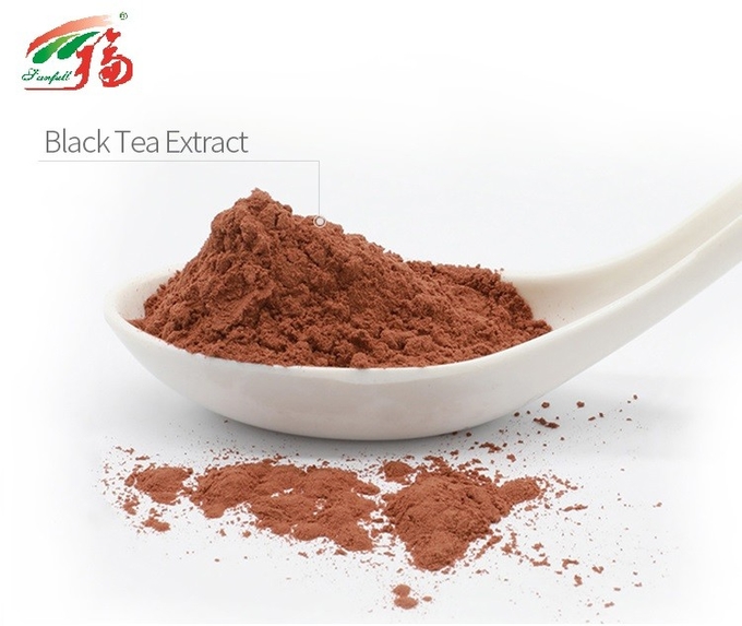 40 Theaflavins Black Tea Leaf Extract Powder For Pharmaceutical