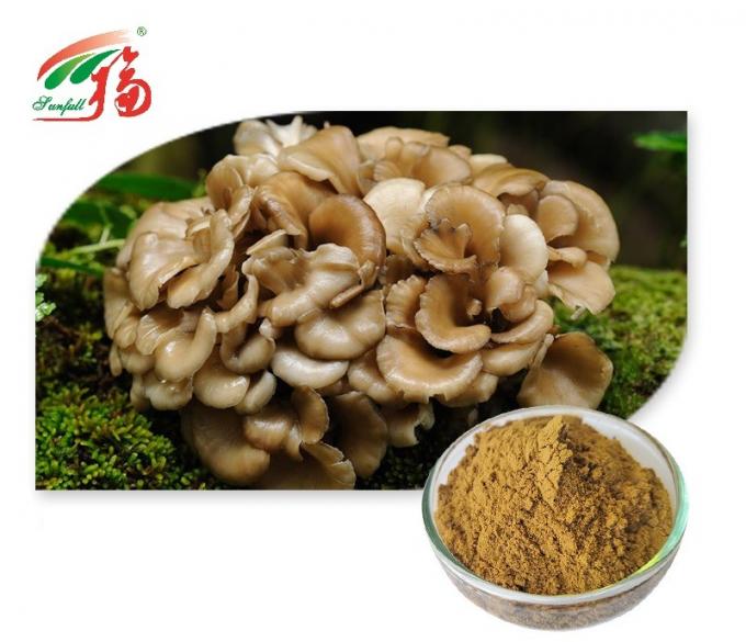 Grifola Frondosa Maitake Mushroom Extract Pharmaceutical Powder 30 Polysaccharides